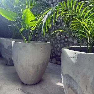 **** Hotel Bau Mexico